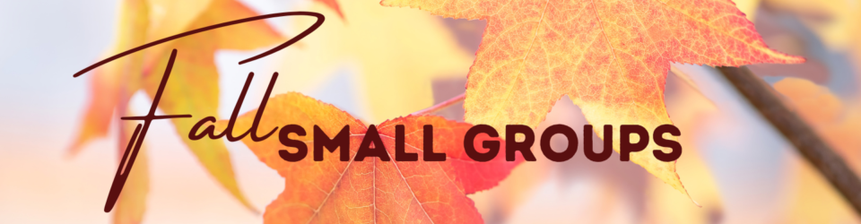 Fall Small Groups - New Life Fellowship